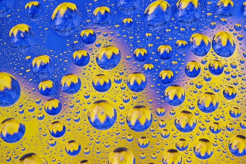 Special Guest Series- Creative Macro Photography with Charles Needle