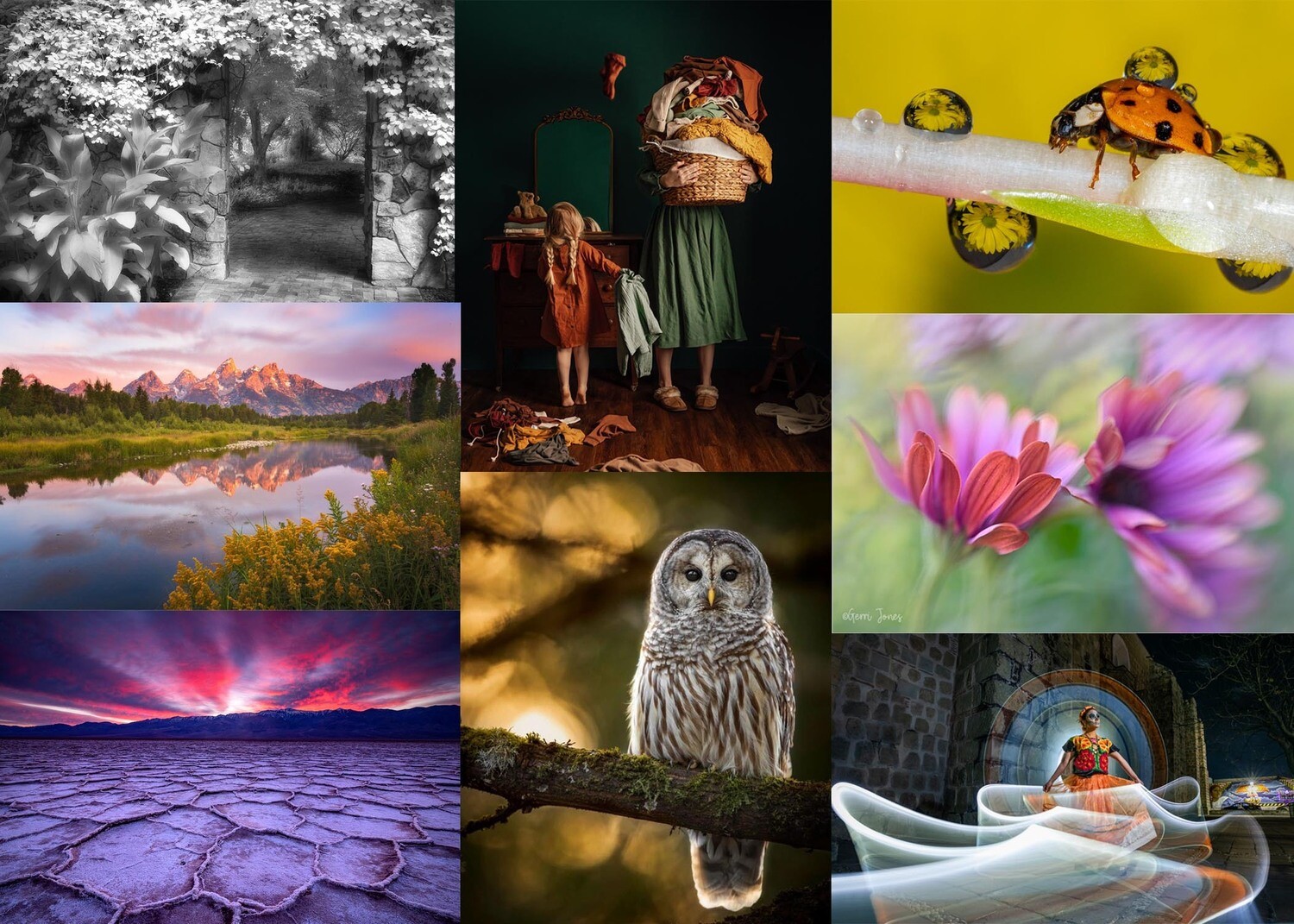 Women with Vision 2022 Online Photo Conference