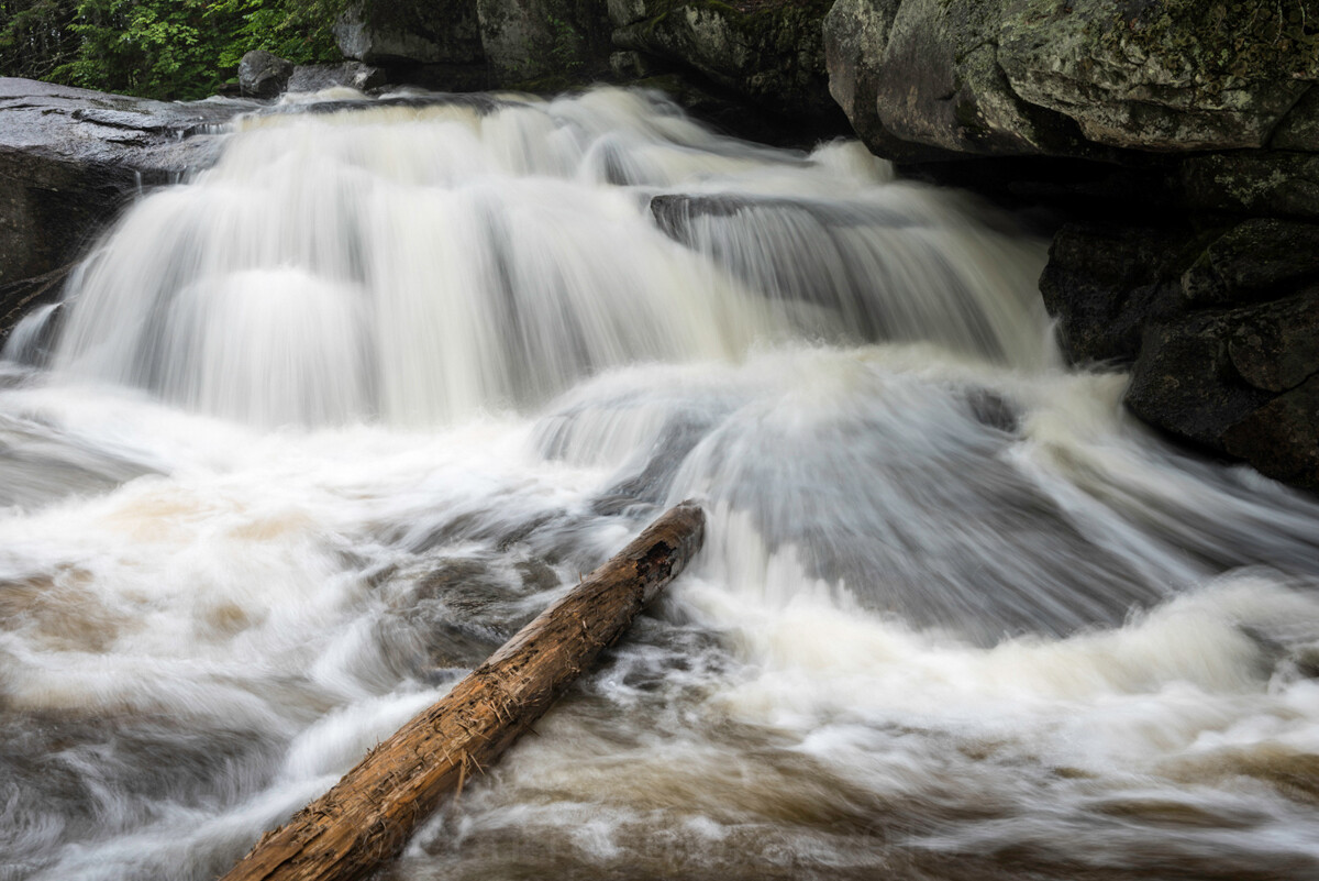 Photograph What You Feel with Don Toothaker