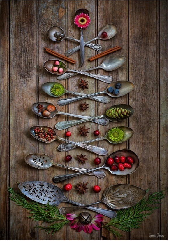 Special Guest Series- How to Set Up and Photograph Easy Still Life Arrangements with Gerri Jones Special Guest Series- How to Set Up and Photograph Easy Still Life Arrangements with Gerri Jones