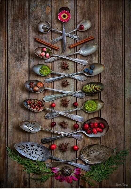 Special Guest Series- How to Set Up and Photograph Easy Still Life Arrangements with Gerri Jones