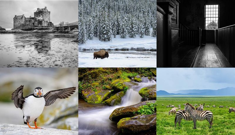 Online: 2025- A Look Back with Hunt’s Photo Adventures