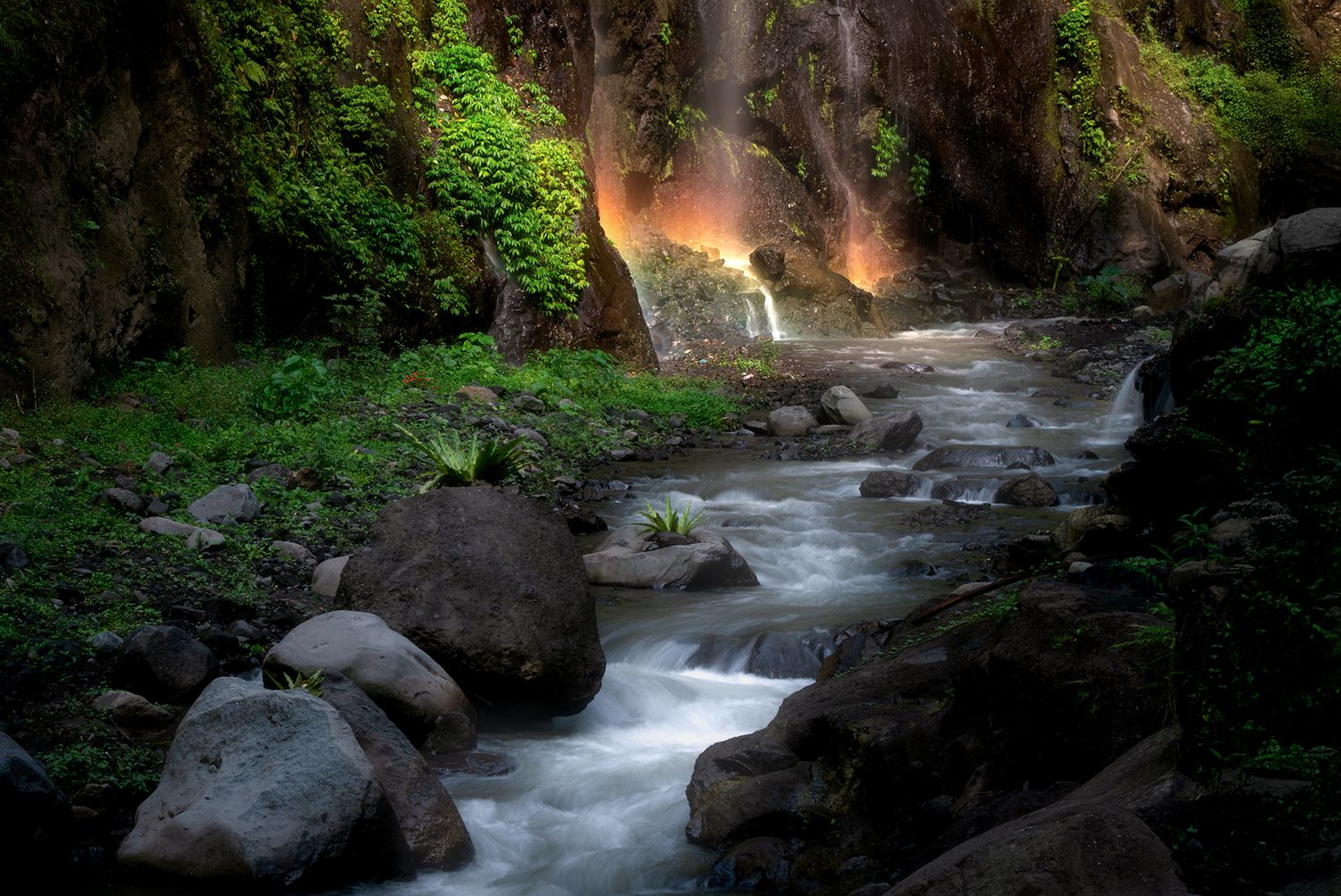 Special Guest Series- The Fluid Frame: Capturing the Soul of Water with Sapna Reddy