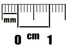 Nail Sizing