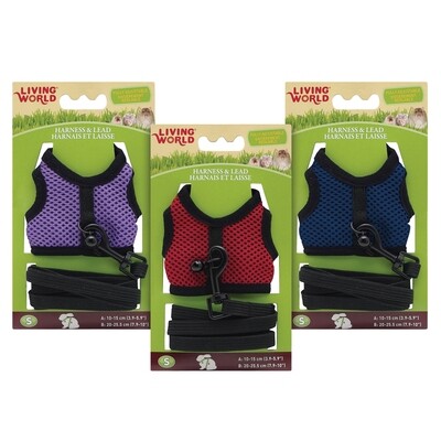 Living World Harness and Lead Set - Assorted Colours -  Small