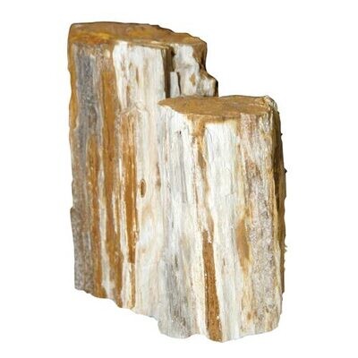Feller Stone Petrified Wood - 4.50/lb