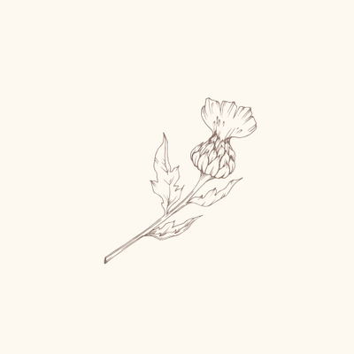 Fresh Flowers