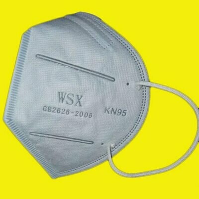 PBZ | N95 Mask (Without Respirator) Set of 100 Pcs