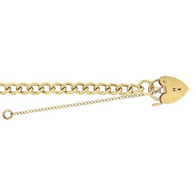 9ct Yellow Gold Ladies 7.5 inches Charm Bracelet