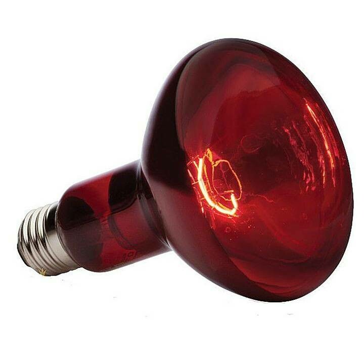 Лампа ИКЗК, красная 215-225-250