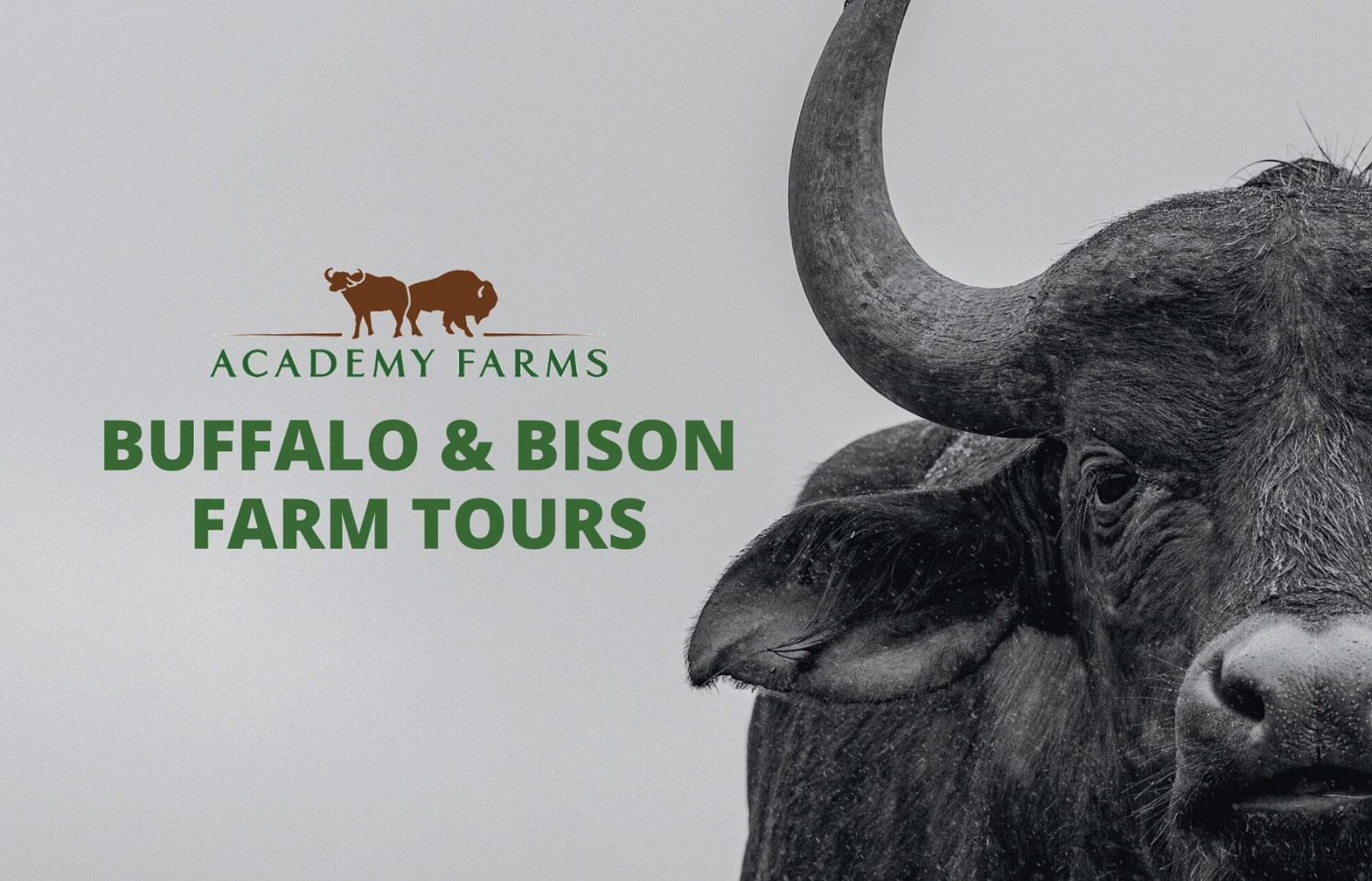 ACADEMY FARMS