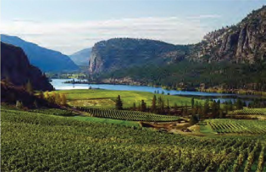 DEFINITIVE OKANAGAN WINE - 2nd Departure