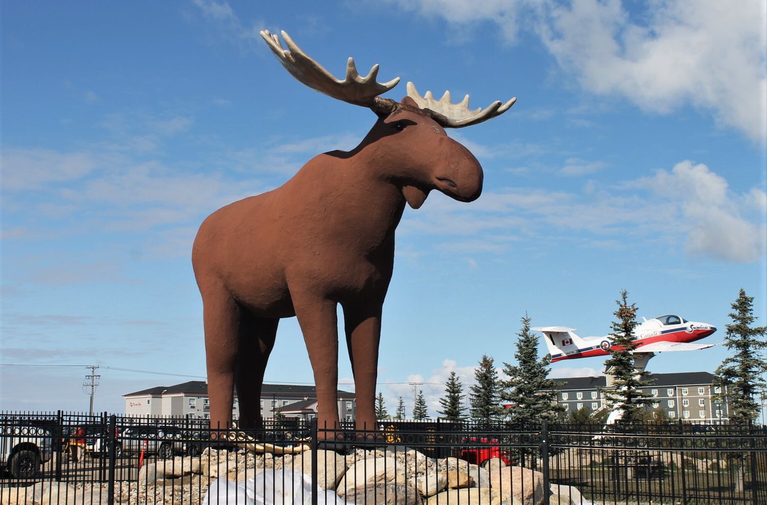 MOOSE JAW PRAIRIE GOLD