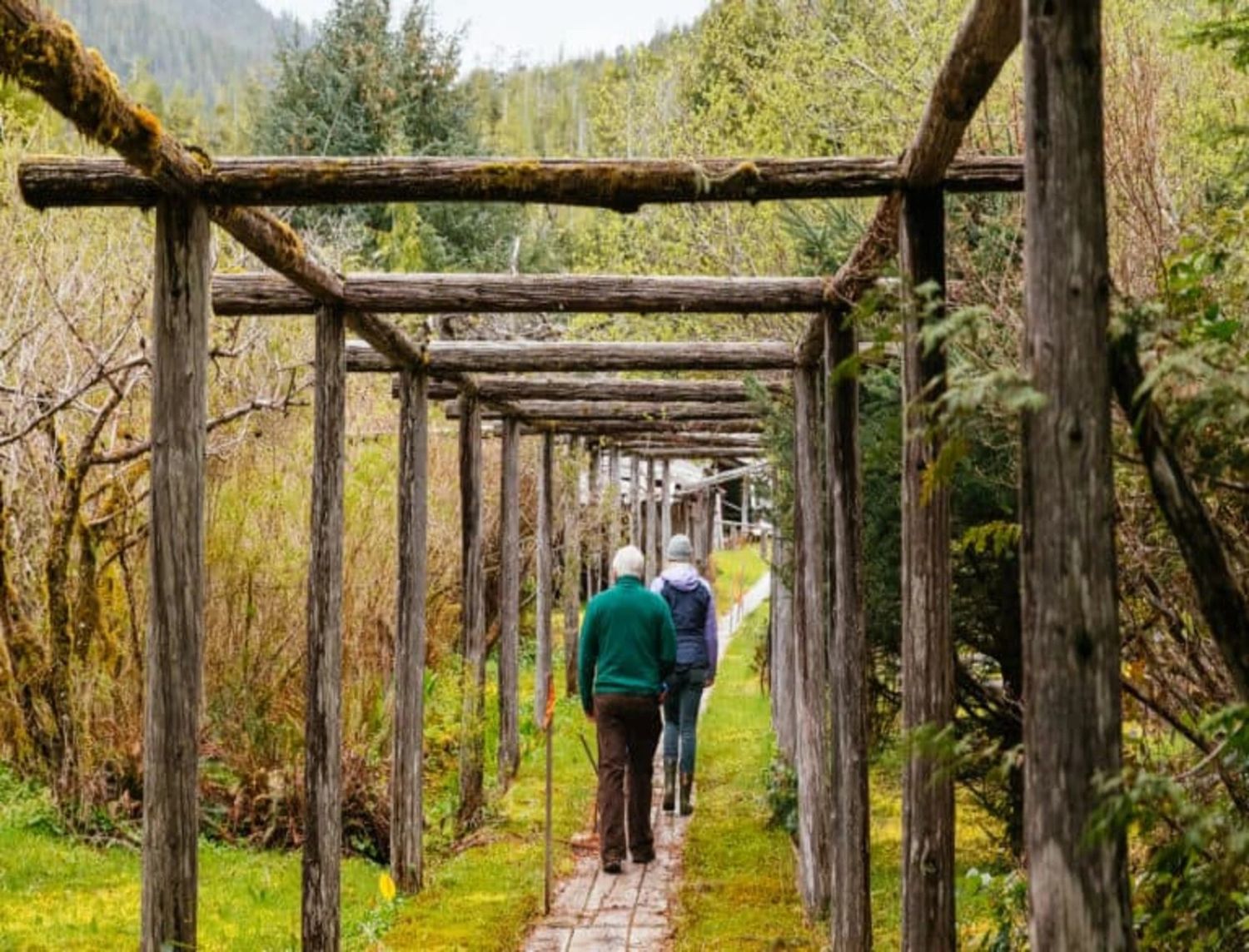 COUGAR ANNIE'S GARDEN