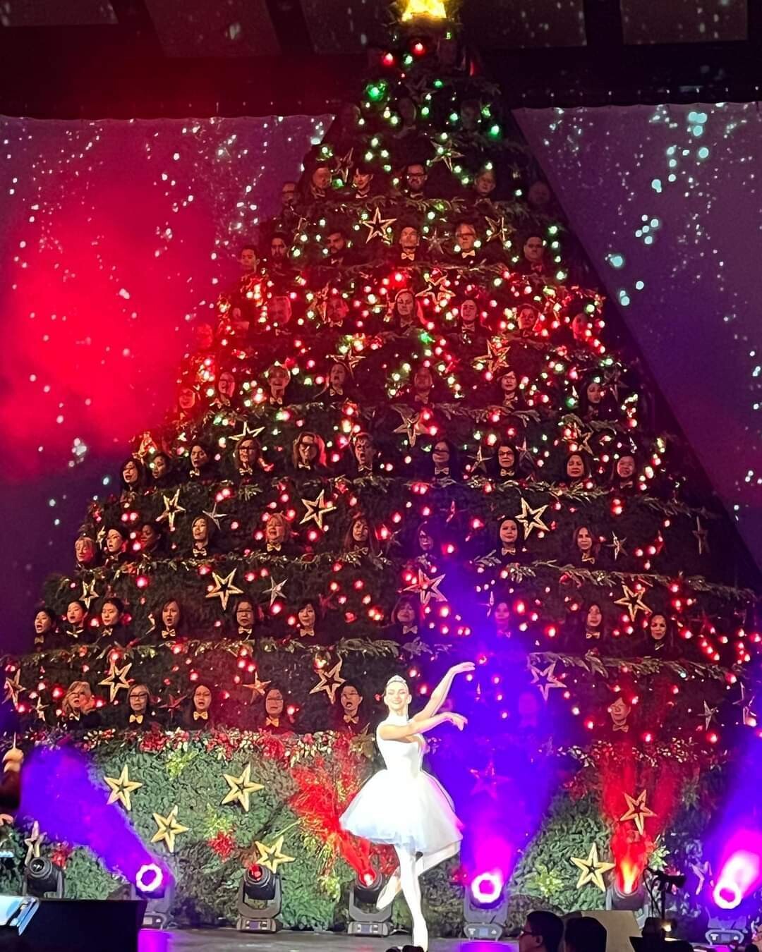 THE SINGING CHRISTMAS TREE