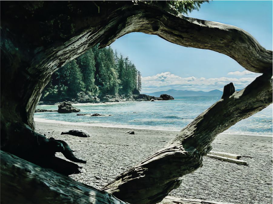 JUAN DE FUCA WITH DREA HARRISON