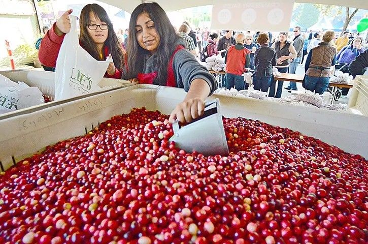 FORT LANGLEY CRANBERRY FESTIVAL