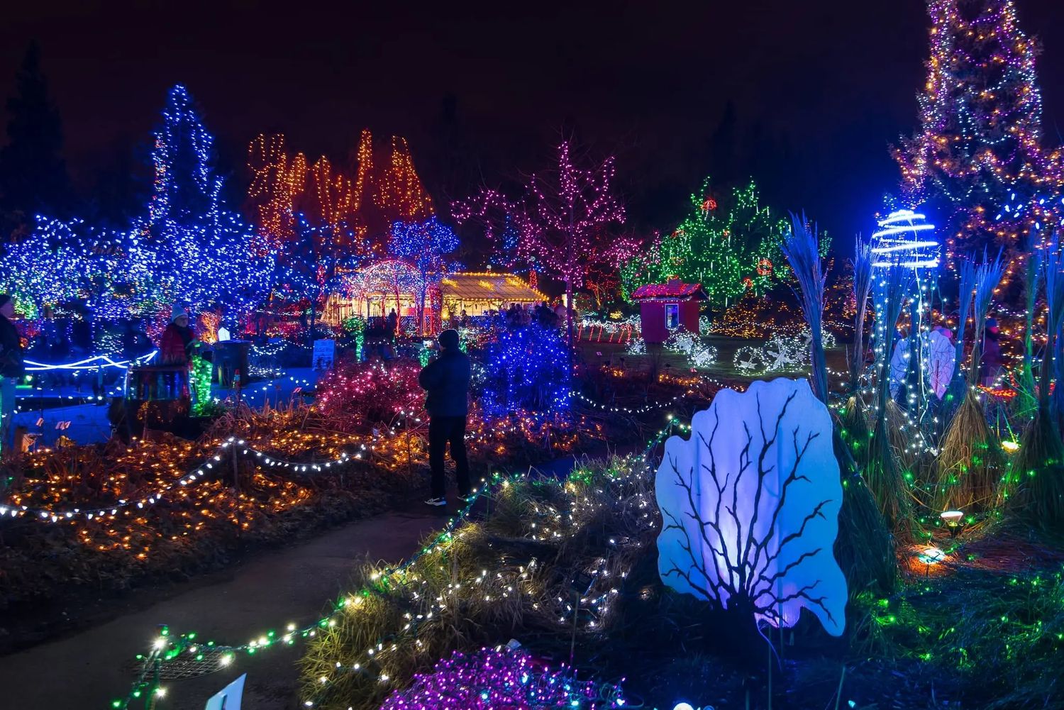 COLOSSAL CHRISTMAS LIGHTS TOUR - DEC 21
