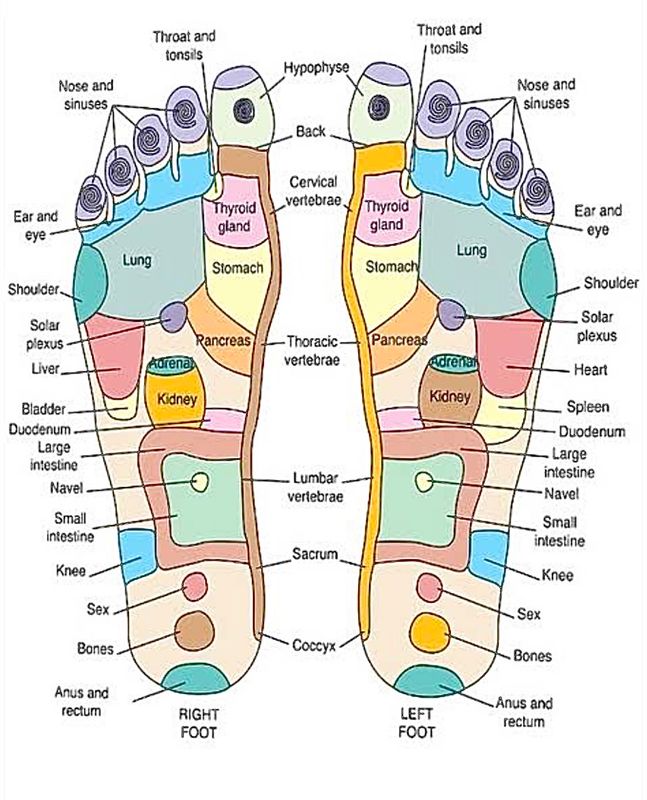 Reflexology