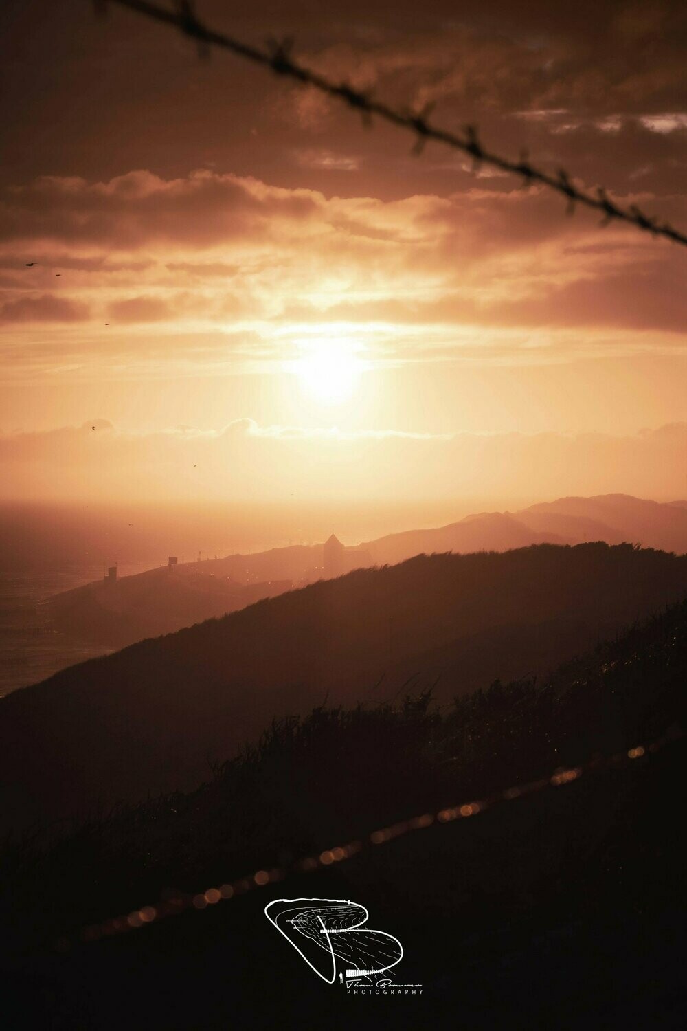 Zoutelande Silhouet