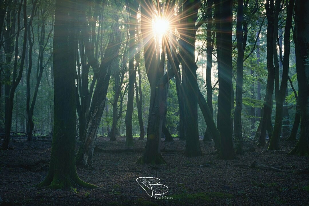 Speulderbos 3