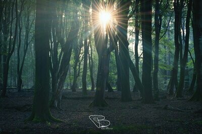 Speulderbos 3