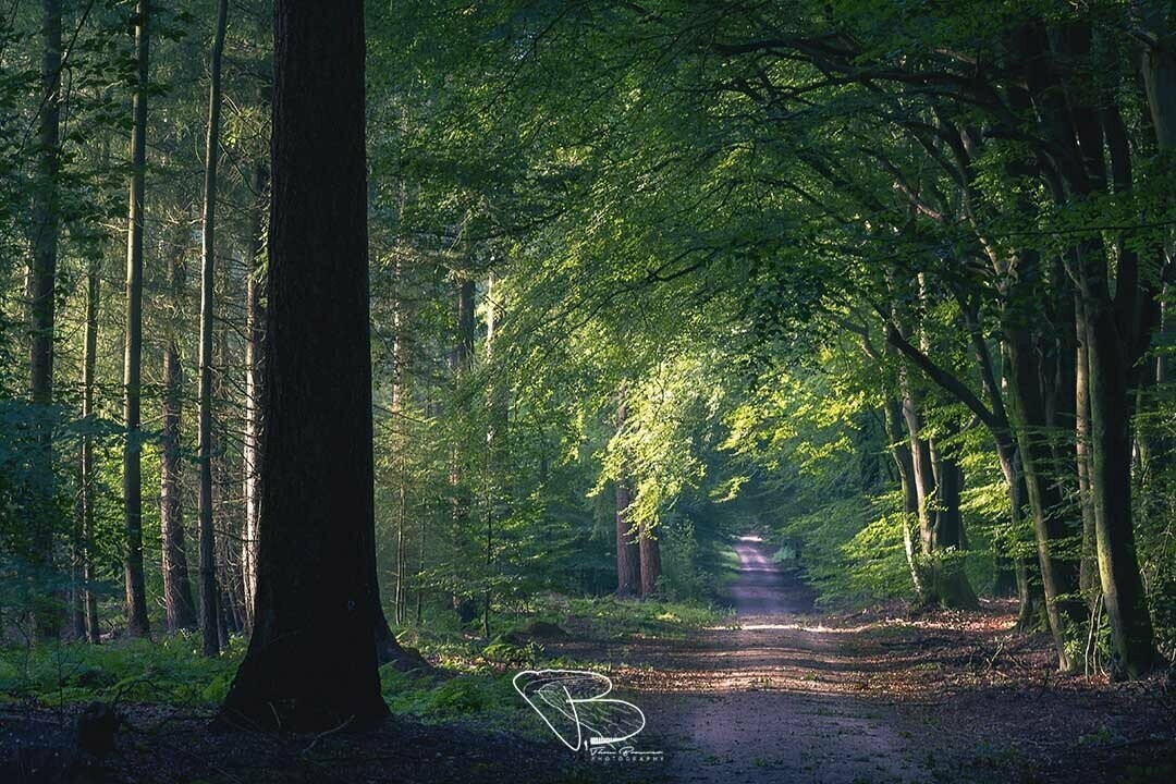 Speulderbos 2