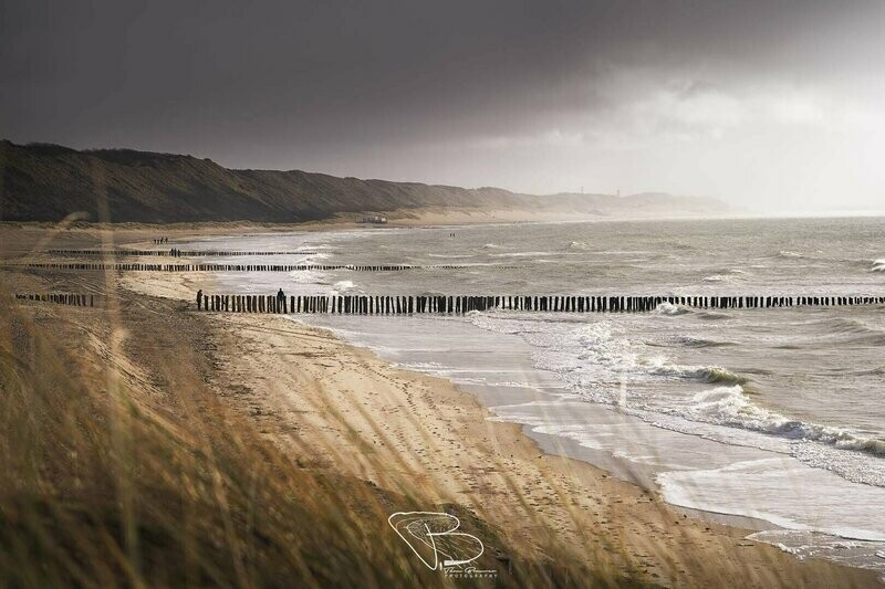 Coastal