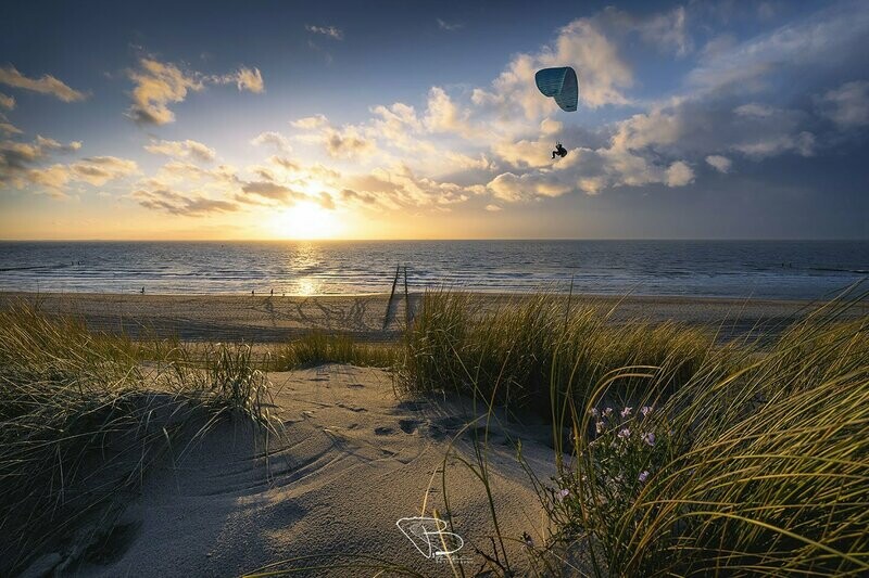 Fly (Paraglider strand Dishoek)