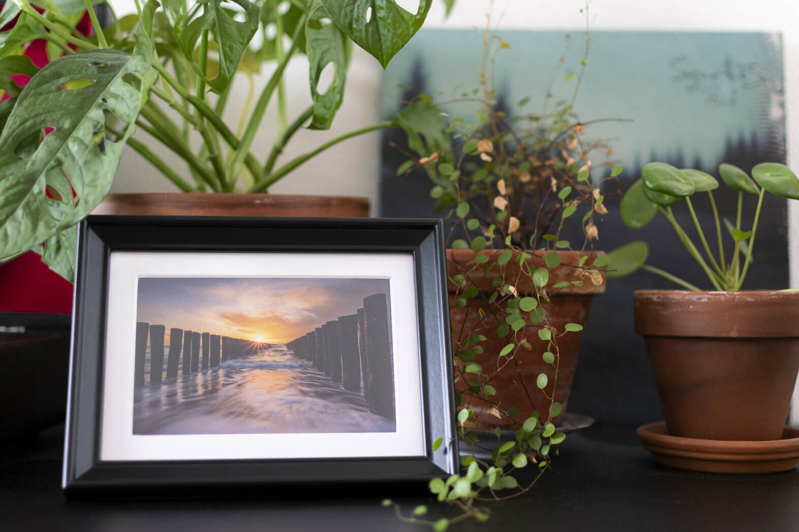 Kaart 'Paalhoofd' (5 stuks)