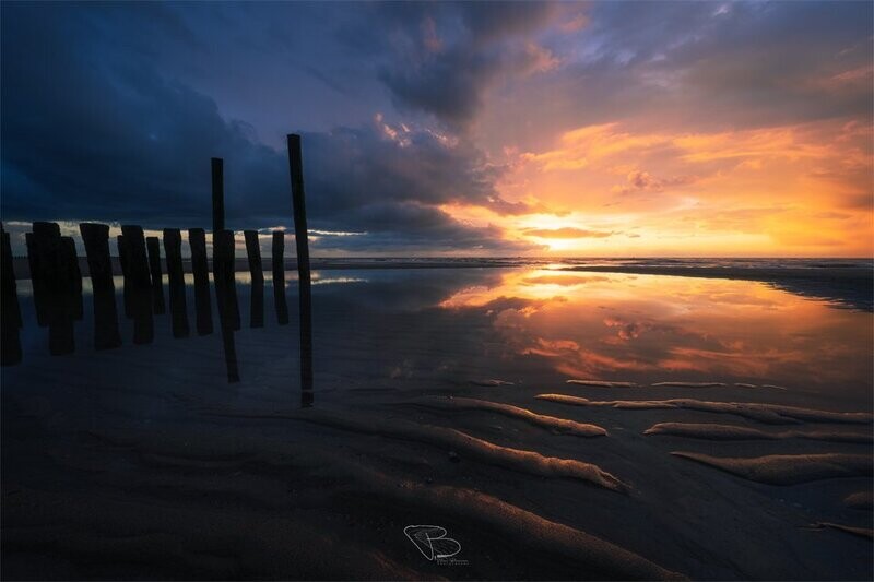 The Dying of The Light