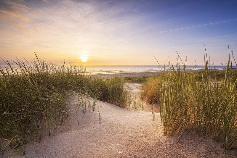 Strand en Duin