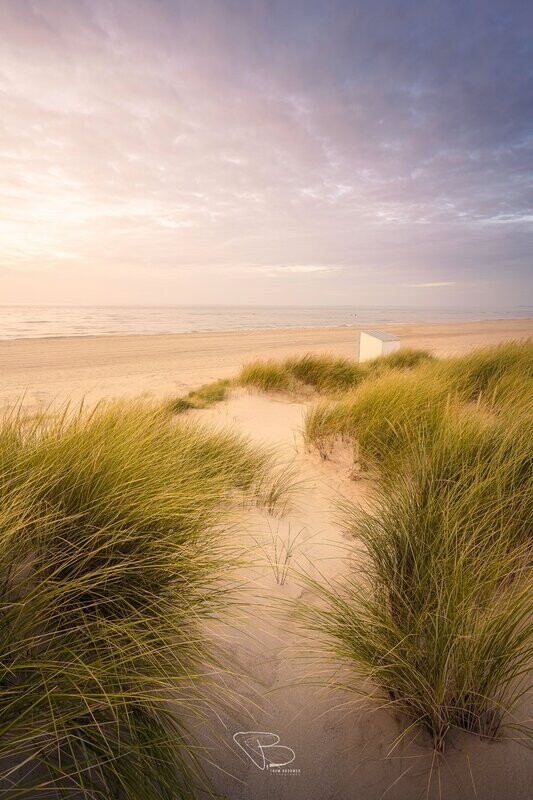 Alleen aan het strand