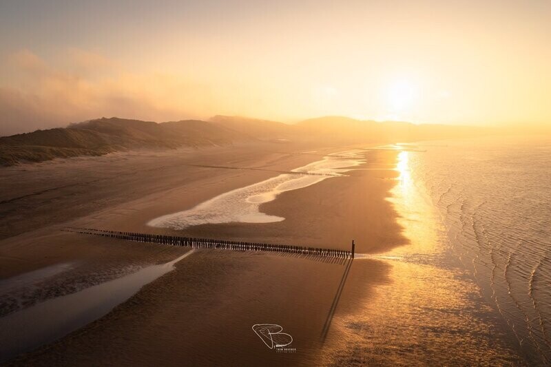 Strand Zoutelande in een gouden mist