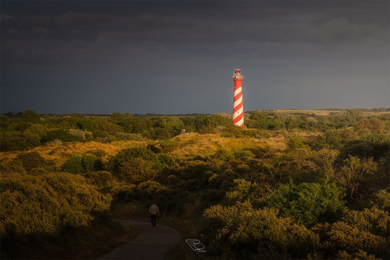 Westerlicht in duinen Nieuw-Haamstede