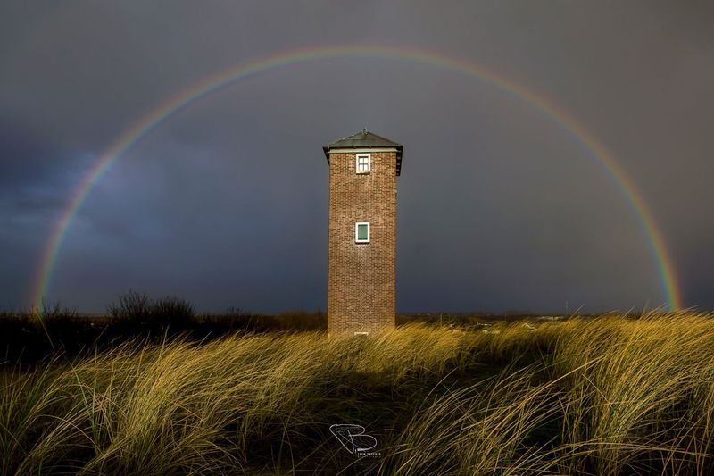 In Rainbows