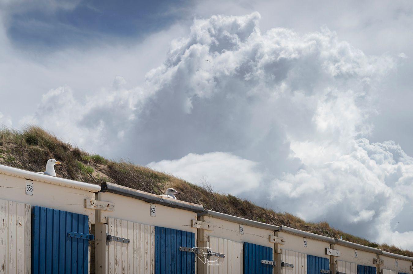 Strandhuisjes en meeuwen aan de kust