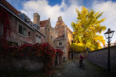 Herfst in Middelburg Herfst in Middelburg
