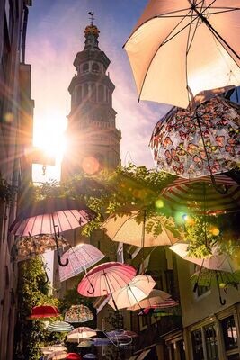 Umbrella Umbrella