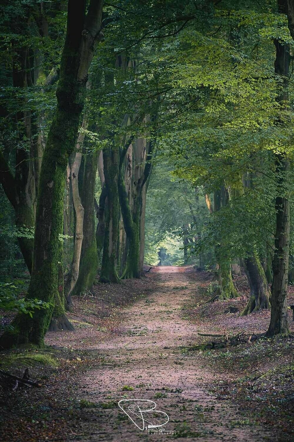 Speulderbos 4 Speulderbos 4