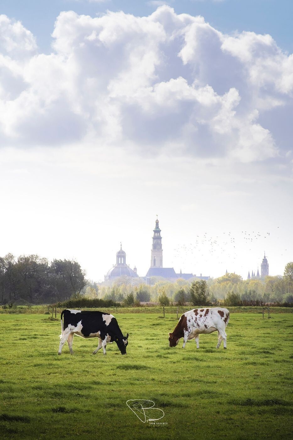 Middelburg onder Hollandse lucht Middelburg onder Hollandse lucht