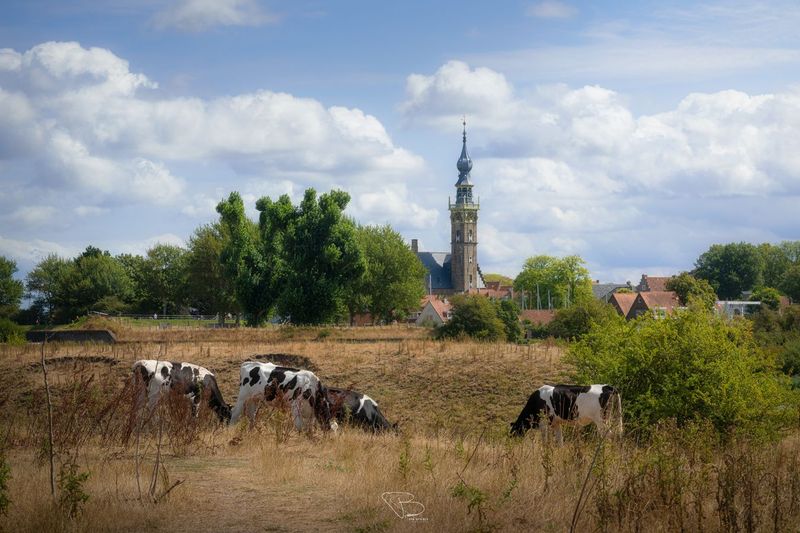 Veere onder Hollandse lucht Veere onder Hollandse lucht