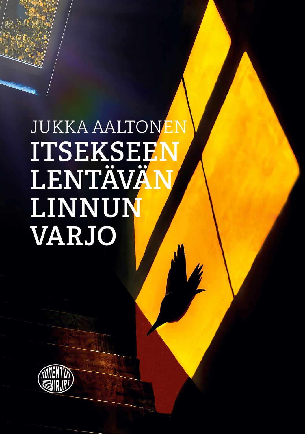 Itsekseen lentävän linnun varjo