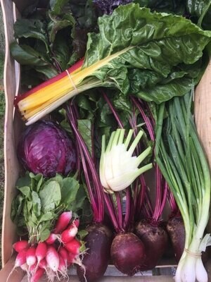 Petit Panier Samedi Ferme