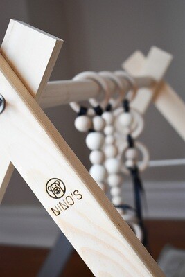PLAY GYM