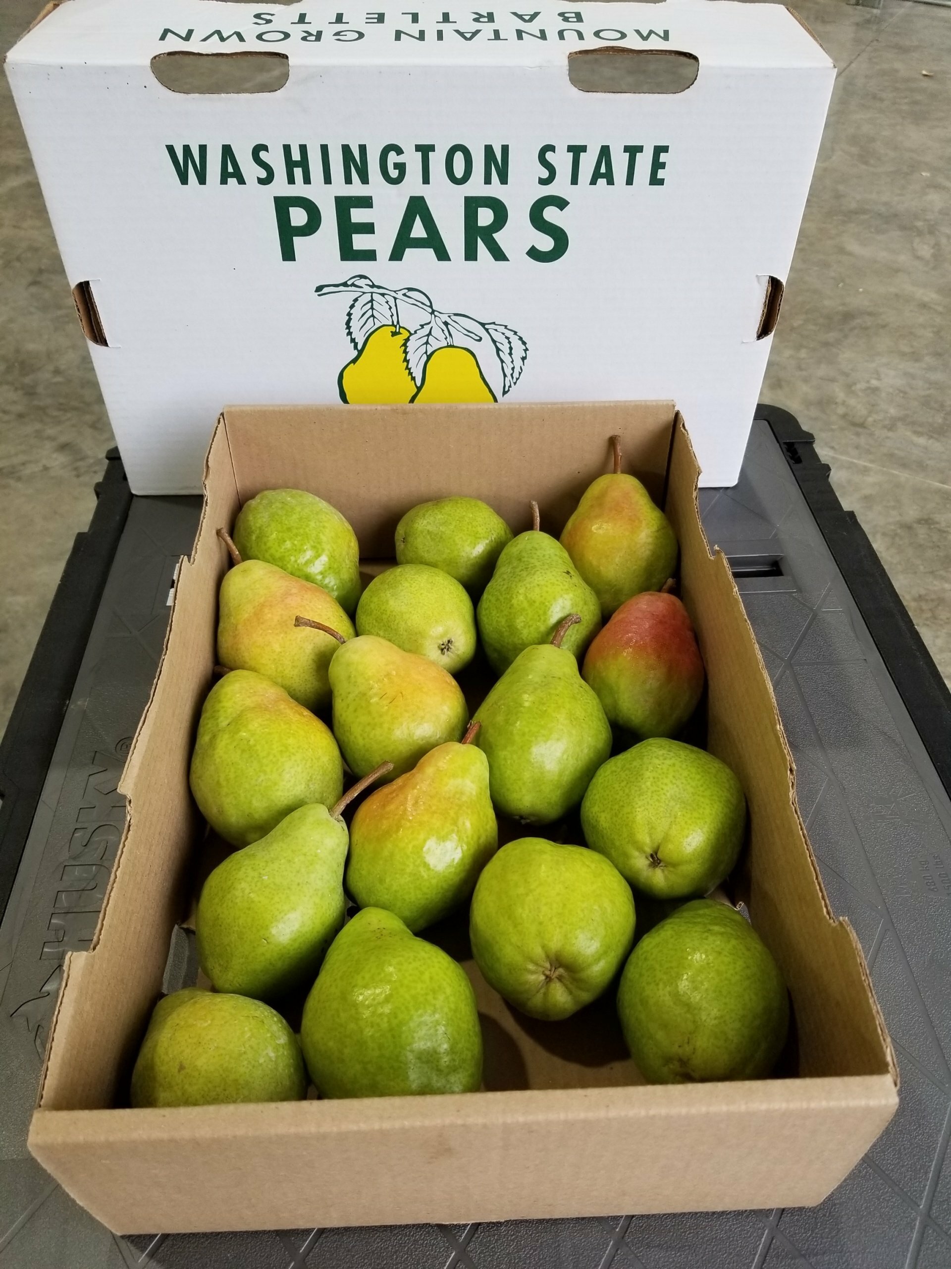 Bartlett Pears
