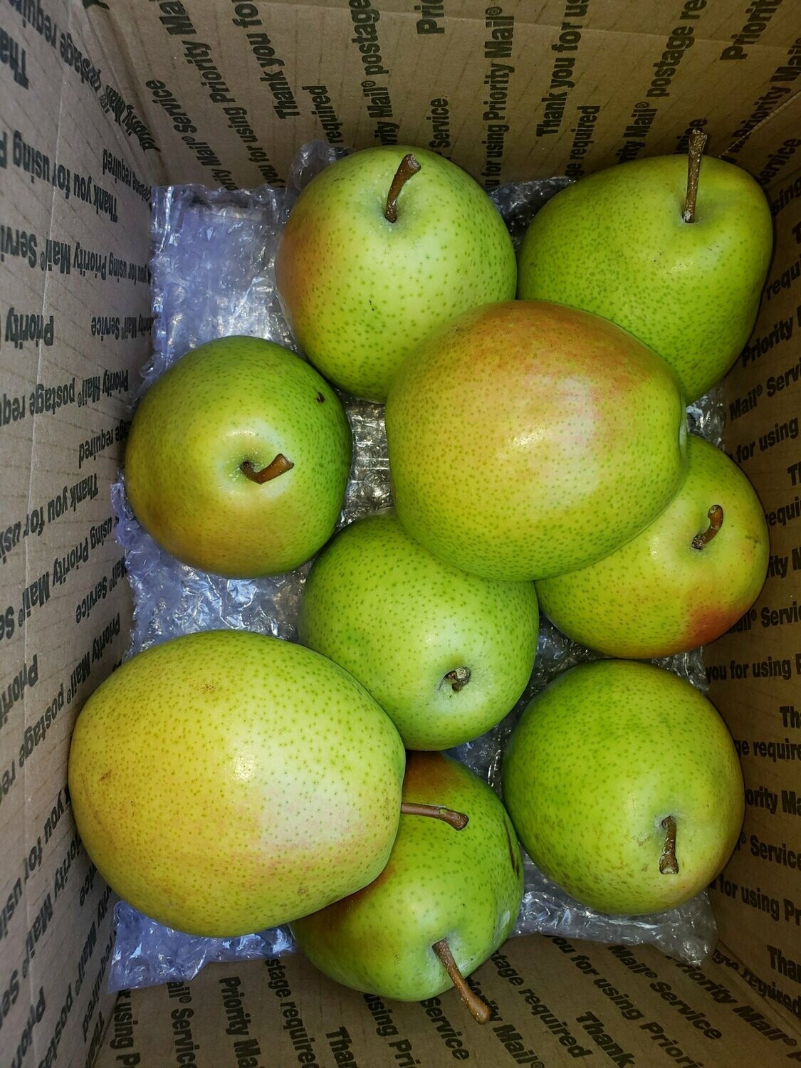 D’Anjou Pears (NEW!)