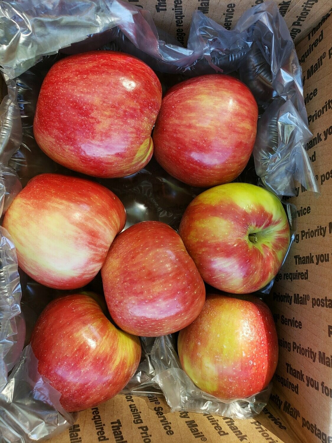Apples