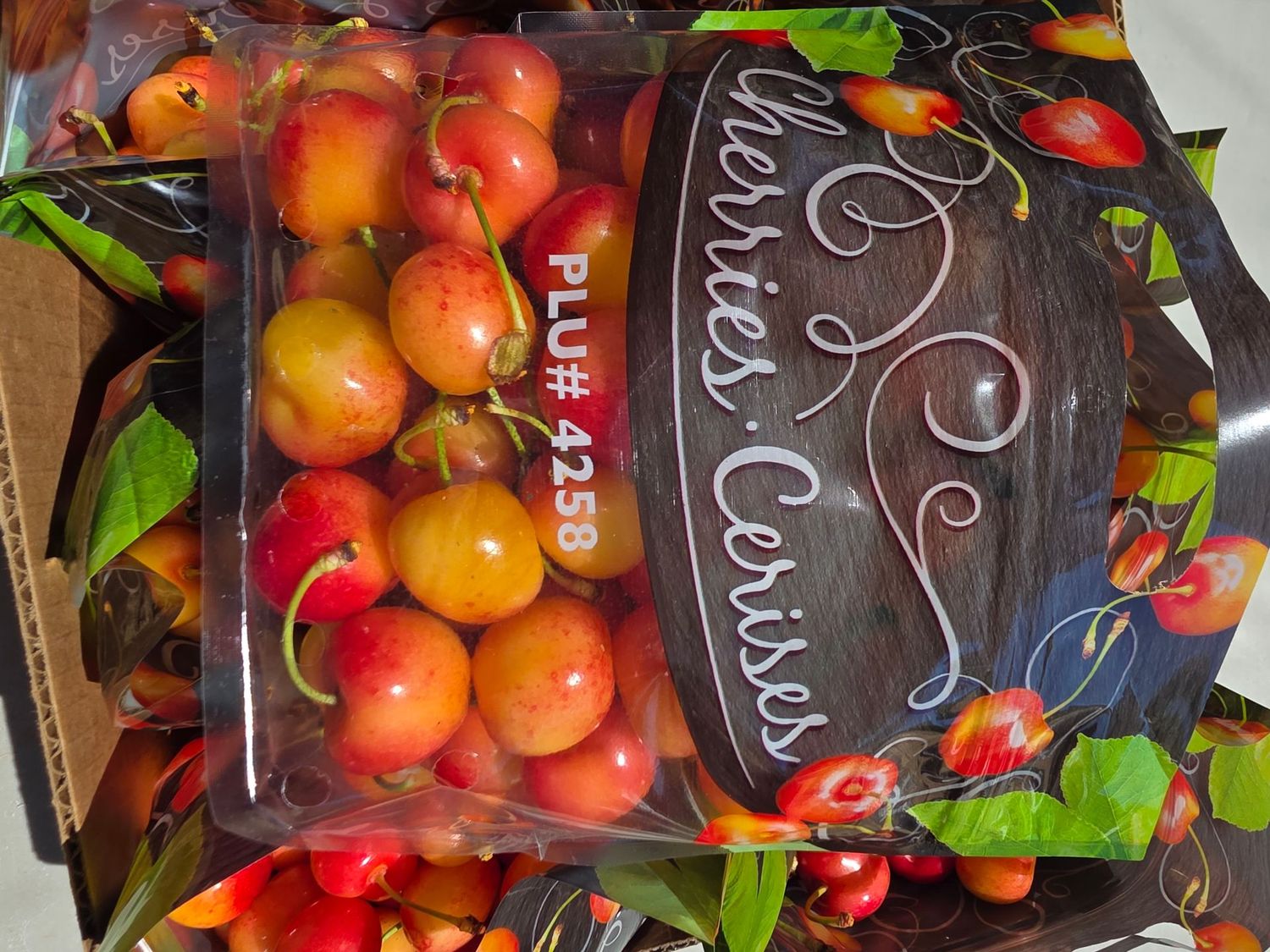 Early Robin Cherries (shipping in June) Early Robin Cherries (shipping in June)