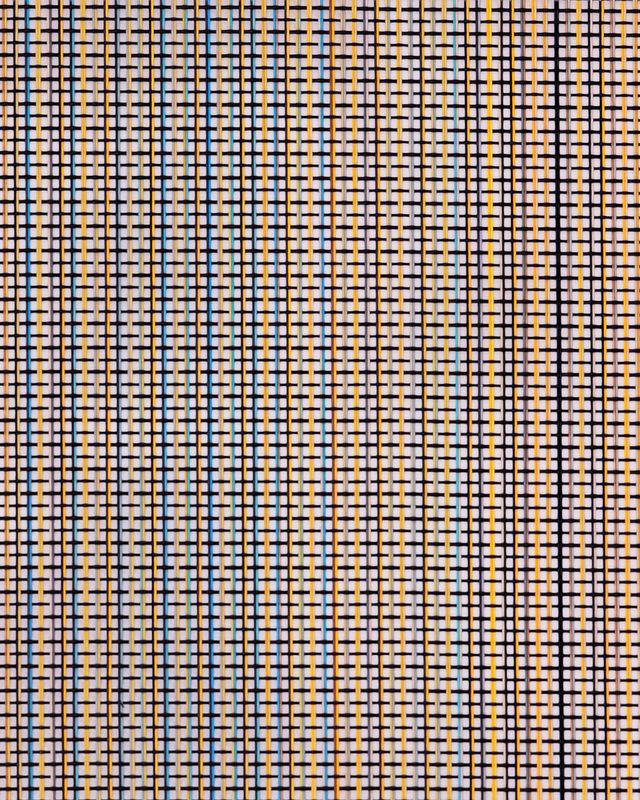 Multicolor Mesh Containment Screen